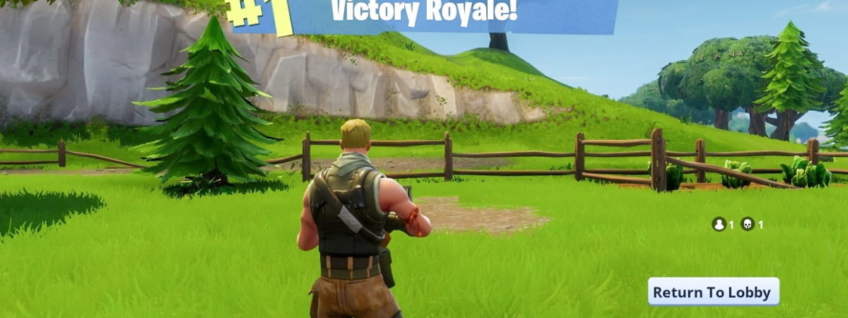 Fortnite Houston Astros