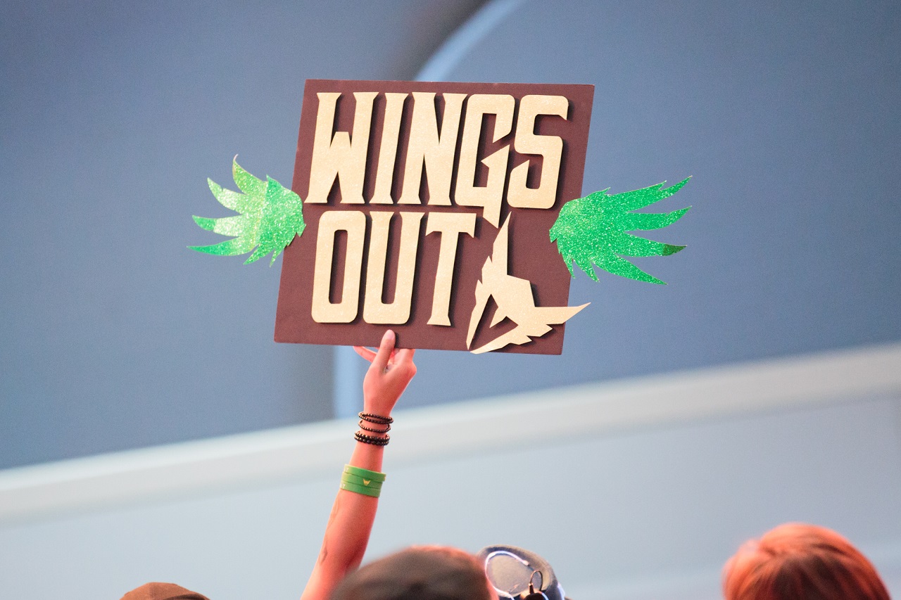 Los Angeles Valiant wings out