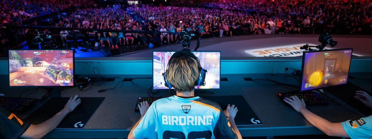 Birdring