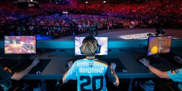Birdring