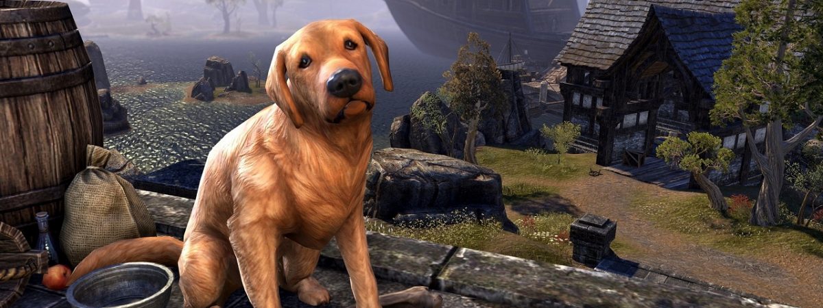 Elder Scrolls Online Players Have 24 Hours to Claim Free Pets for