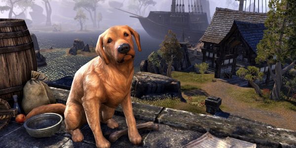 The Bravil Retriever is One of The Elder Scrolls Online Pets Which Was Discontinued