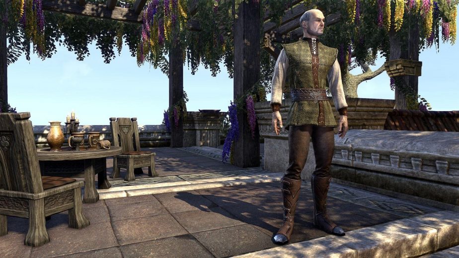 The Upcoming Elder Scrolls Online Daily Rewards Will Let Players Claim the Skald's Damask Jerkin