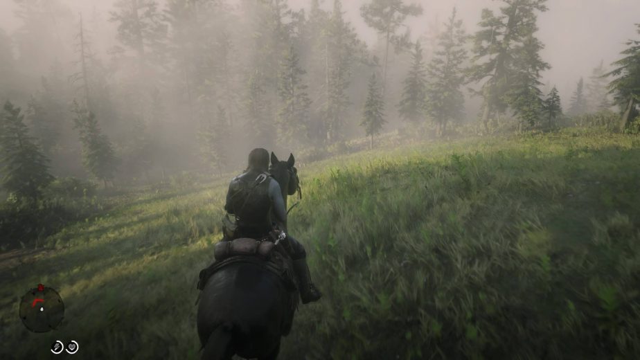 Red Dead Redemption 2: How To Use Each Mini-Map Option