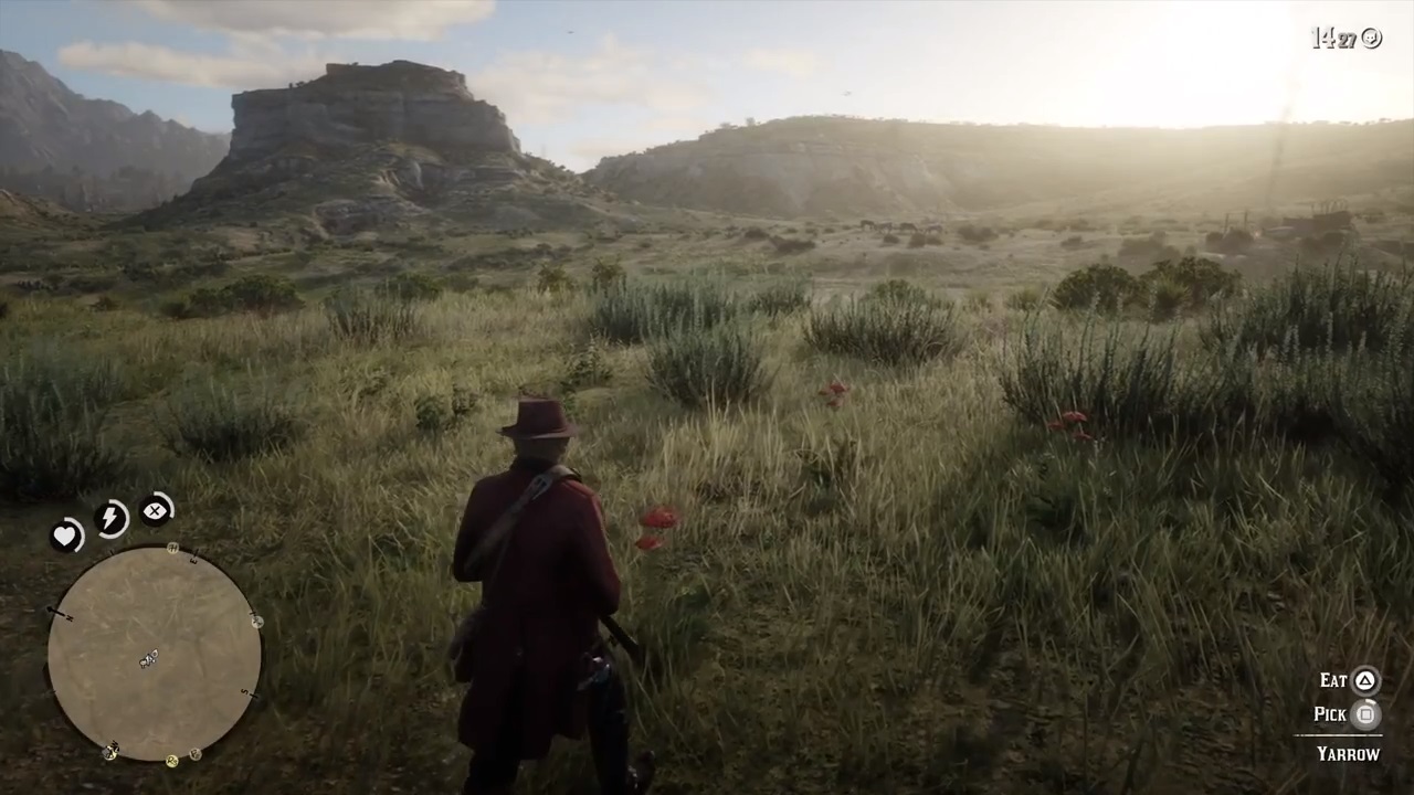 Red Dead Redemption 2: Where to Find Yarrow Plants