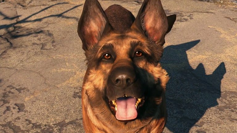 Fallout 76 Players Eat More Dog Food Than Anything Else...