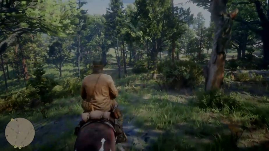 Red Dead Online Dual Wield