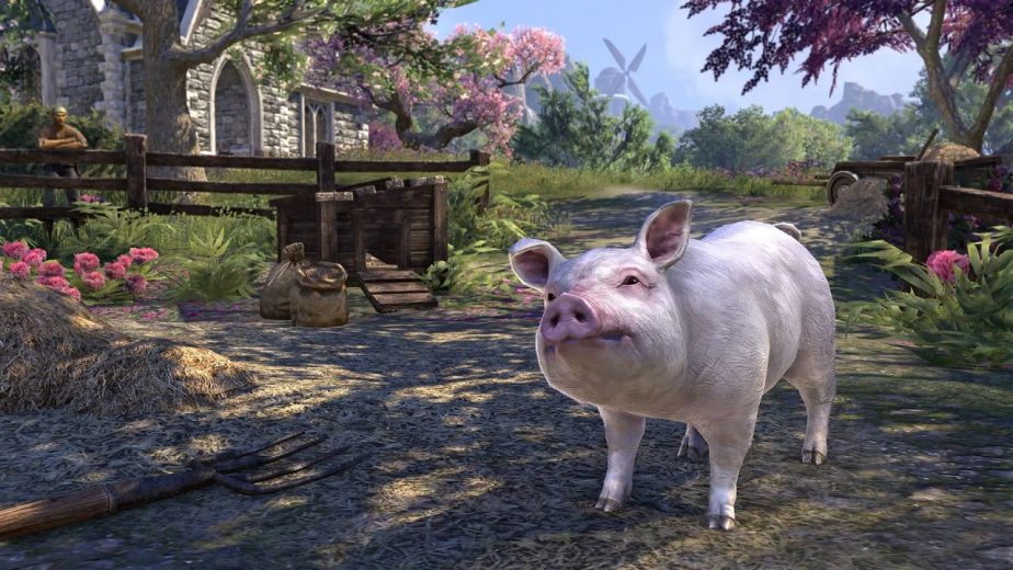 Elder Scrolls Online Free Pet Pig