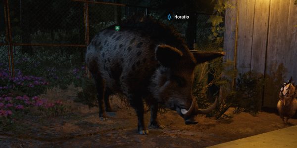 Far Cry New Dawn Guns-for-Hire Horatio Cover