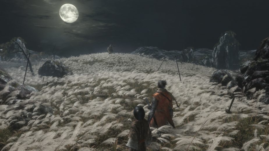 Sekiro Pc System Requirements 2 924x520 